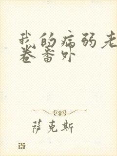 我的病弱老婆花卷番外封面