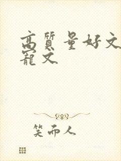 高质量好文笔甜宠文