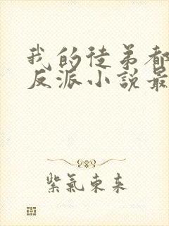 我的徒弟都是大反派小说最新章节