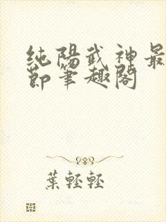 纯阳武神最新章节笔趣阁