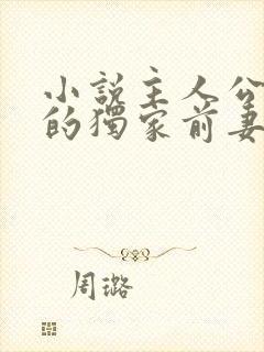 小说主人公秦少的独家前妻免费阅读