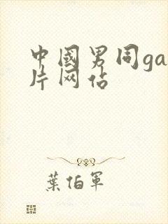 中国男同gay片网站