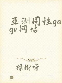 亚洲同性gaygv网站