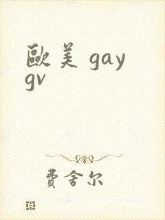 欧美 gay gv