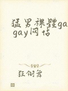 猛男裸体gay gay网站封面