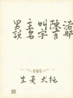 男主叫陈浩的小说名字有哪些