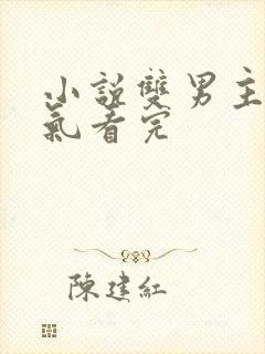 小说双男主一口气看完