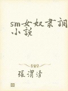 sm女奴隶调教小说封面