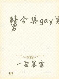 精合集gay男男封面