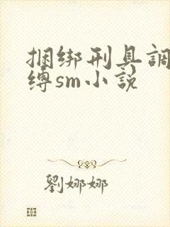 捆绑刑具调教束缚sm小说