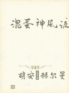 混蛋神风流封面