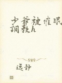 少爷被催眠玩弄调教h