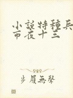 小说特种兵在都市夜十三