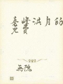 秦峰洪月的小说免费