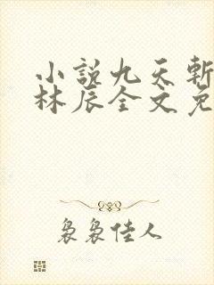小说九天斩神诀林辰全文免费阅读封面