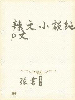 辣文小说纯肉np文