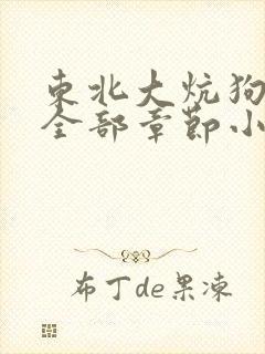 东北大炕狗儿娘全部章节小说