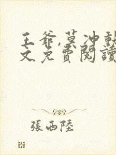 王爷,莫冲动全文免费阅读