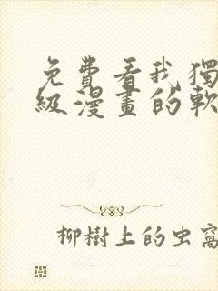 免费看我独自升级漫画的软件