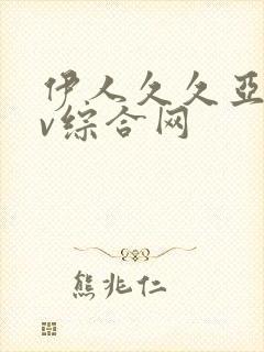 伊人久久亚洲av综合网