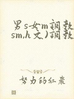 男s女m调教(sm,h文)调教小乳
