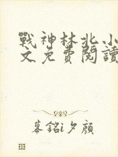 战神林北小说全文免费阅读