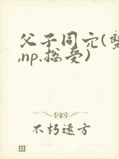 父子同穴(双性,np.总受)封面