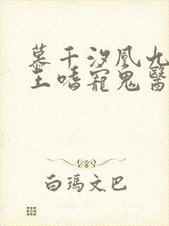 慕千汐凰九夜邪王嗜宠鬼医狂妃免费阅读封面