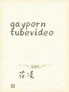 gayporntubevideo封面