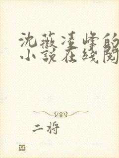 沈薇凌峰的官场小说在线阅读封面