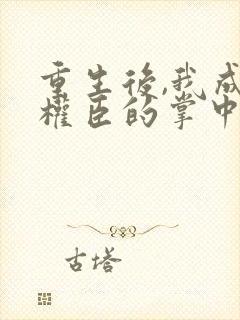 重生后,我成了权臣的掌中娇封面