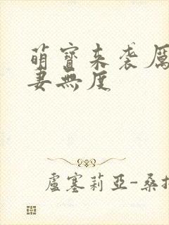 萌宝来袭厉总宠妻无度