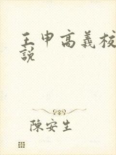 王申高义校长小说