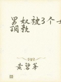 男奴被3个女王调教