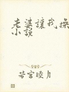 老婆让我操岳母小说封面