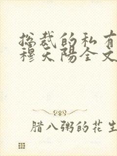 总裁的私有宝贝穆天阳全文免费