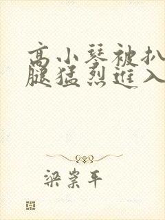 高小琴被扒开双腿猛烈进入小说