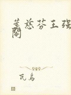 叶慈芬王强笔趣阁封面