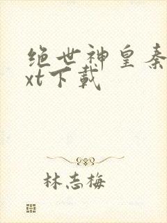 绝世神皇秦轩txt下载封面