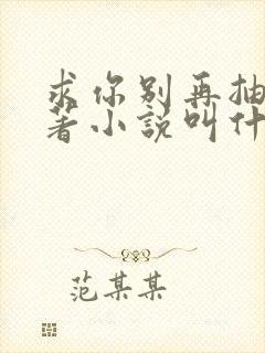 求你别再抽了原著小说叫什么