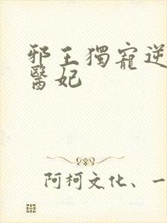 邪王独宠逆天小医妃