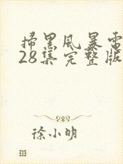 扫黑风暴电视剧28集完整版免费