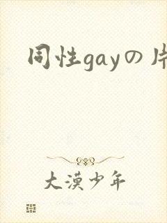 同性gayの片封面