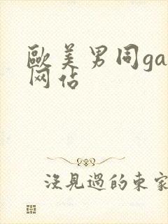 欧美男同gay网站