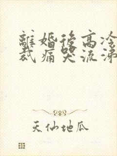 离婚后高冷女总裁痛哭流涕短剧完整版封面