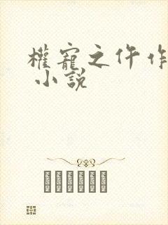 权宠之仵作医妃 小说