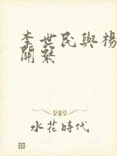 李世民与杨广的关系封面