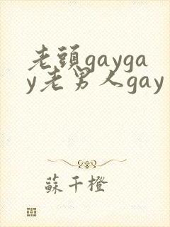 老头gaygay老男人gay