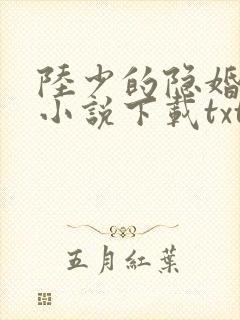 陆少的隐婚罪妻小说下载txt封面