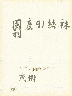 国产91丝袜福利